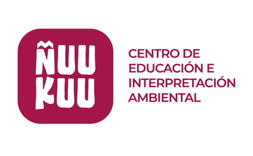 Ñuu Kuu